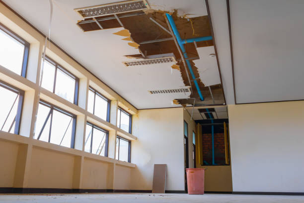 Best Professional water damage repair  in Hudson Falls, NY