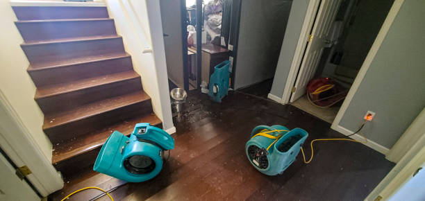 Best Water damage contractors near me  in Hudson Falls, NY