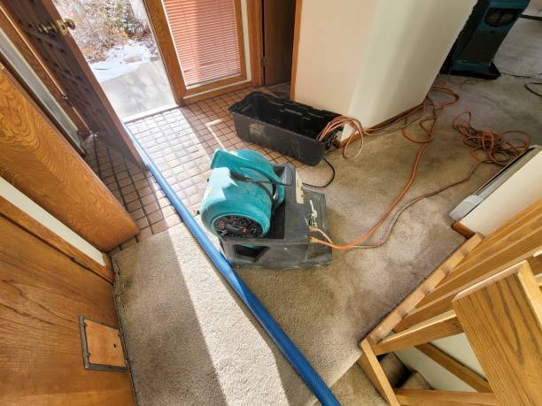 Best Ceiling water damage repair  in Hudson Falls, NY