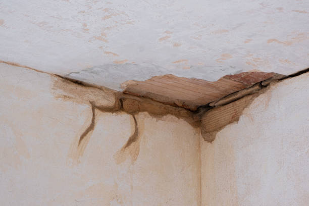 Best Local water damage restoration  in Hudson Falls, NY