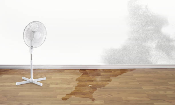 Best Water damage restoration specialists  in Hudson Falls, NY