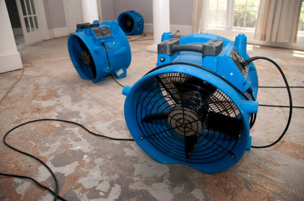 Best Flooded house restoration  in Hudson Falls, NY