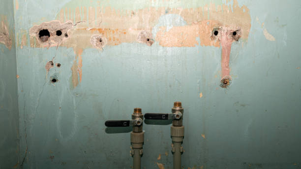 Best Sewage cleanup and water damage restoration  in Hudson Falls, NY
