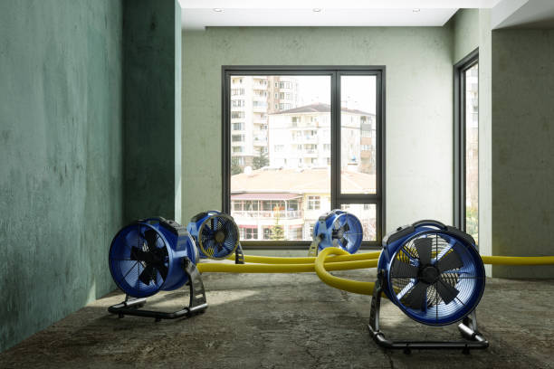 Best Flood restoration services  in Hudson Falls, NY