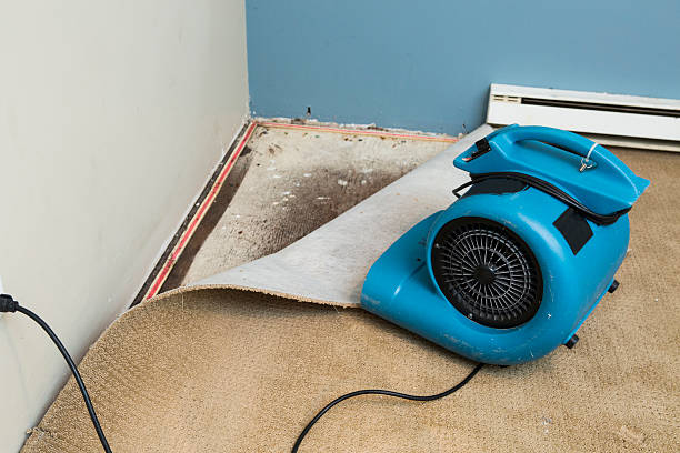 Best Mold removal after water damage  in Hudson Falls, NY